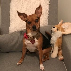 Meet your Posher, Blake